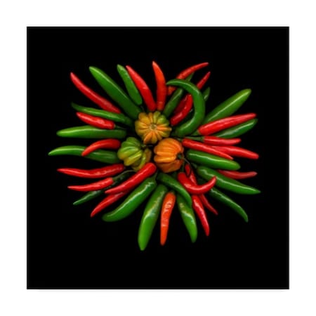 Susan S. Barmon 'Hot Peppers 1' Canvas Art,14x14